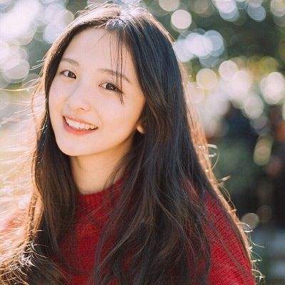 口袋数码暴龙手游下载